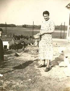 Feeding chickens